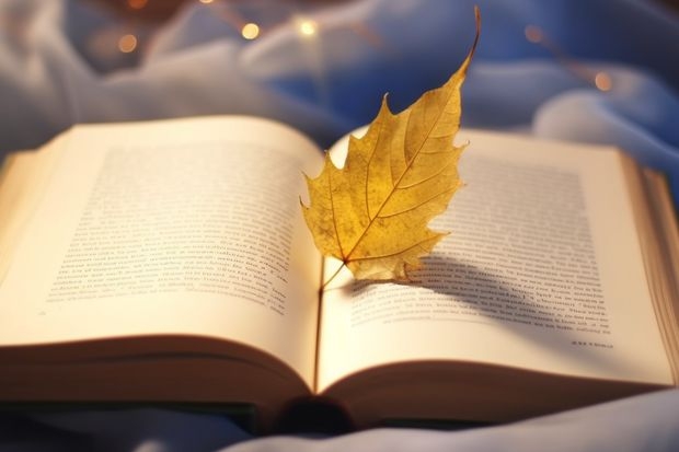苏州幼儿师范高等专科学校哪些专业是非常受欢迎的？