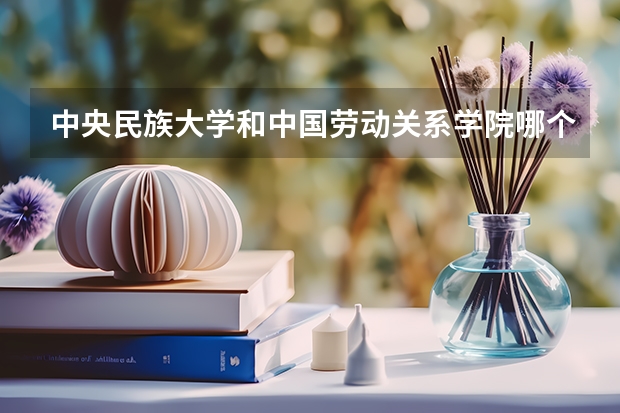 中央民族大学和中国劳动关系学院哪个值得报 历年录取分数线对比