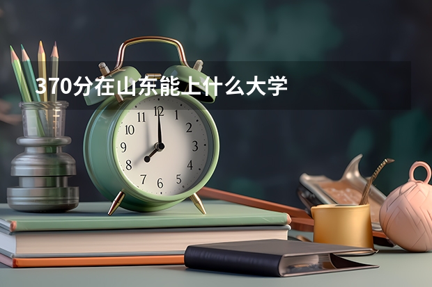 370分在山东能上什么大学