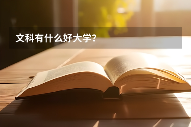 文科有什么好大学？