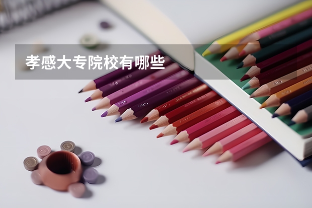 孝感大专院校有哪些