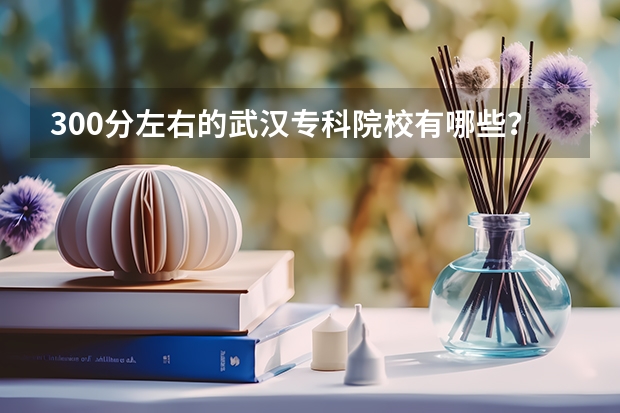 300分左右的武汉专科院校有哪些？