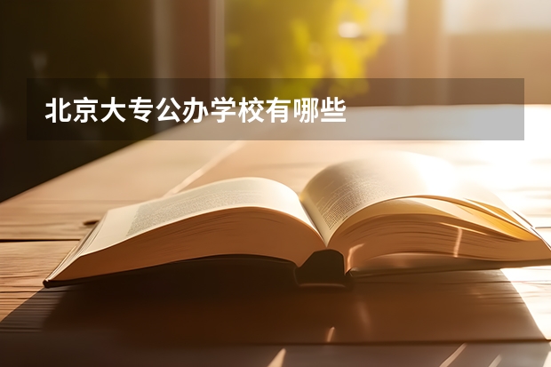 北京大专公办学校有哪些