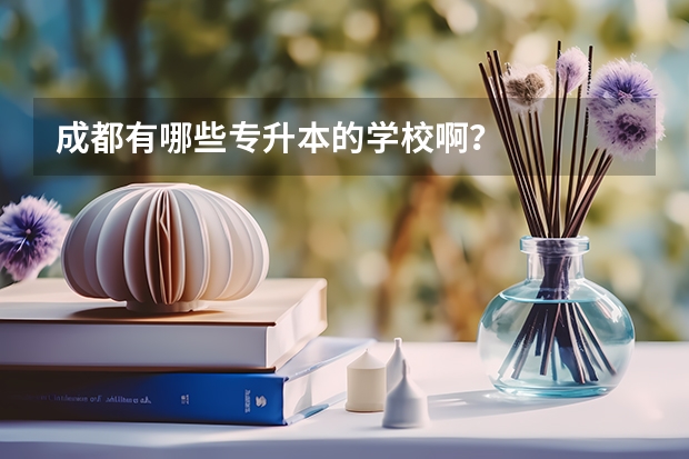 成都有哪些专升本的学校啊？