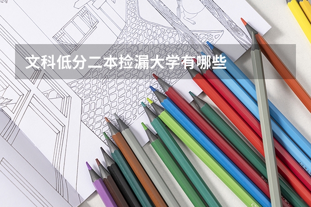文科低分二本捡漏大学有哪些