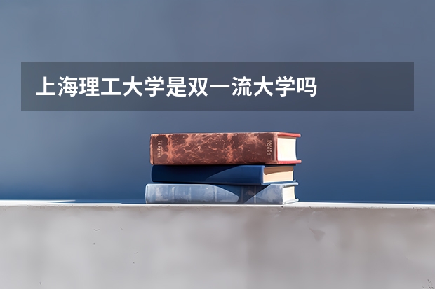 上海理工大学是双一流大学吗