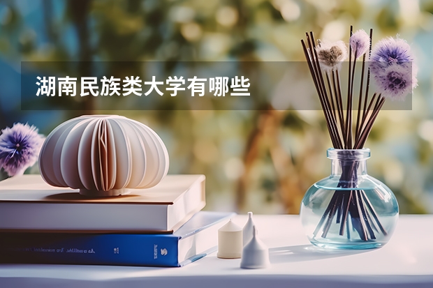 湖南民族类大学有哪些