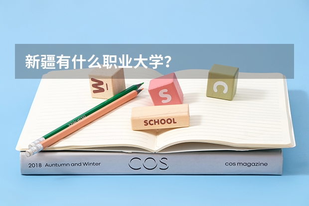 新疆有什么职业大学?