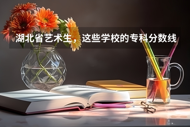 湖北省艺术生，这些学校的专科分数线是多少？