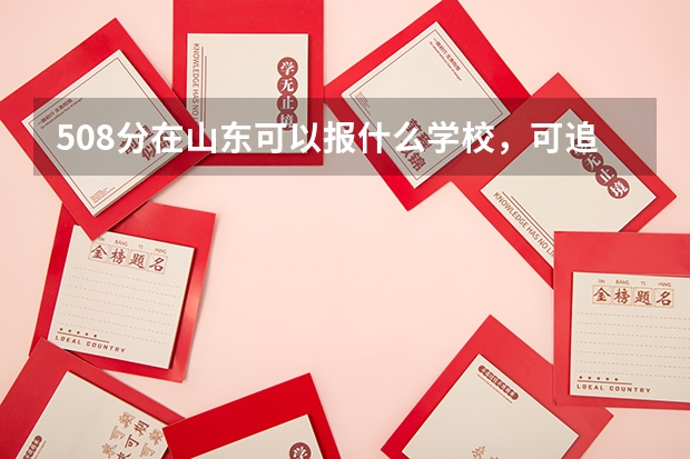 508分在山东可以报什么学校,可追加5000分