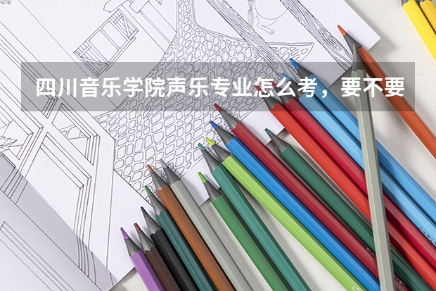 四川音乐学院声乐专业怎么考,要不要什么其他乐器的,分数线多少,我是浙江的
