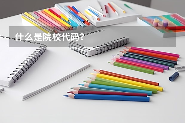 什么是院校代码？