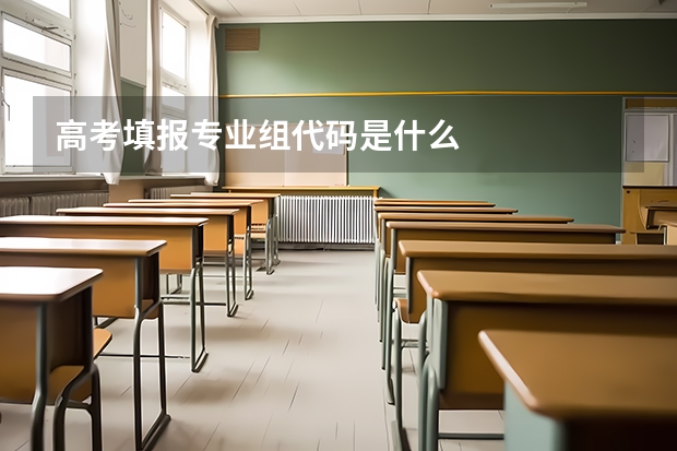 高考填报专业组代码是什么