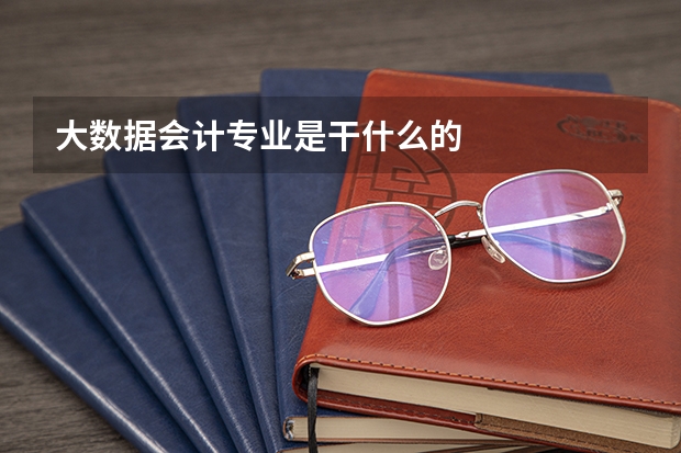 大数据会计专业是干什么的