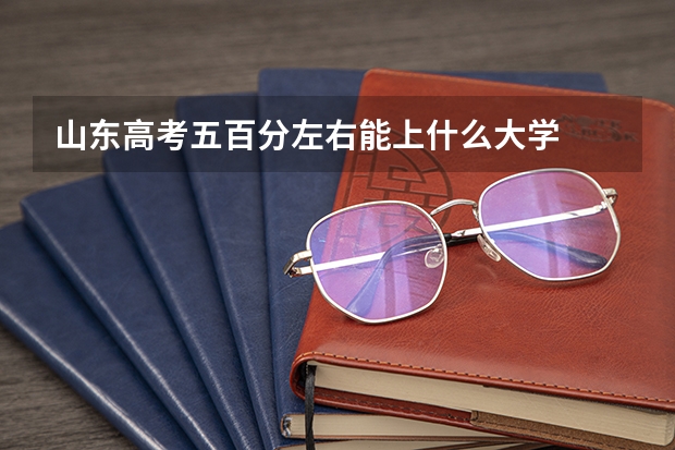 山东高考五百分左右能上什么大学