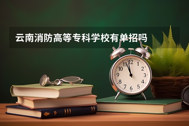 云南消防高等专科学校有单招吗