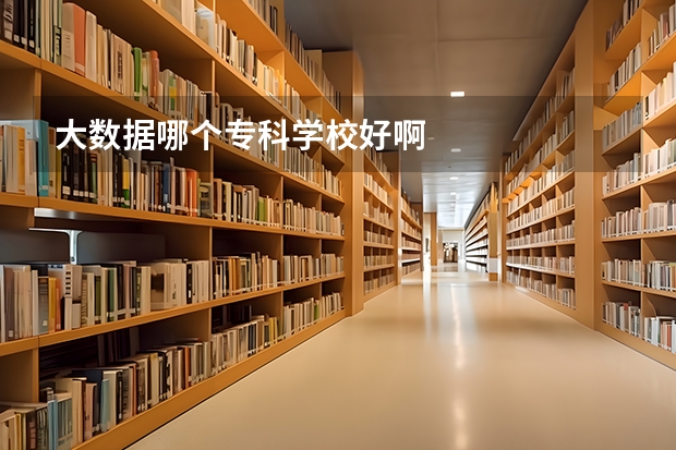 大数据哪个专科学校好啊