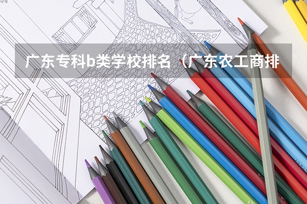 广东专科b类学校排名（广东农工商排名第几位）