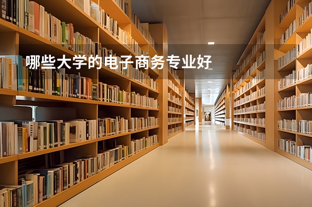 哪些大学的电子商务专业好