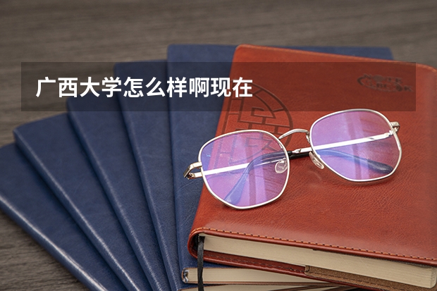 广西大学怎么样啊现在