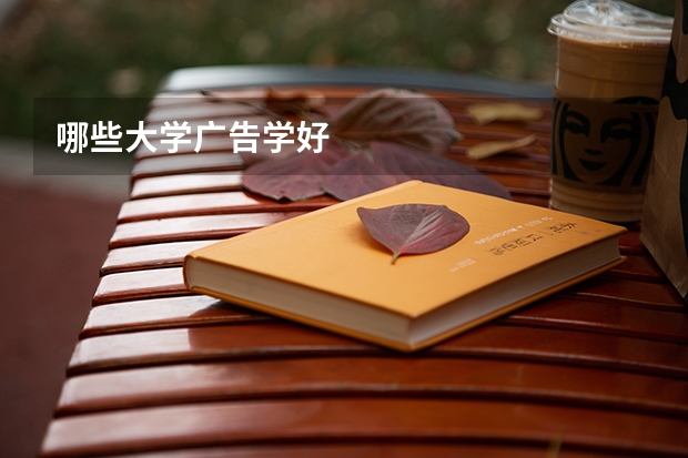 哪些大学广告学好