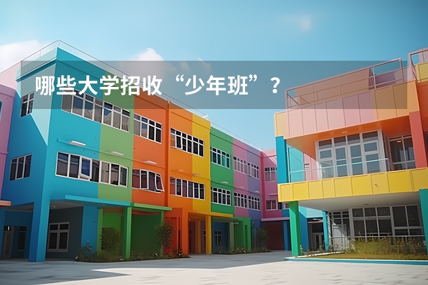 哪些大学招收“少年班”？